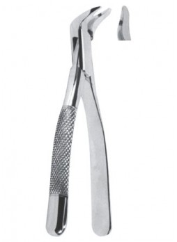 Extracting Forceps